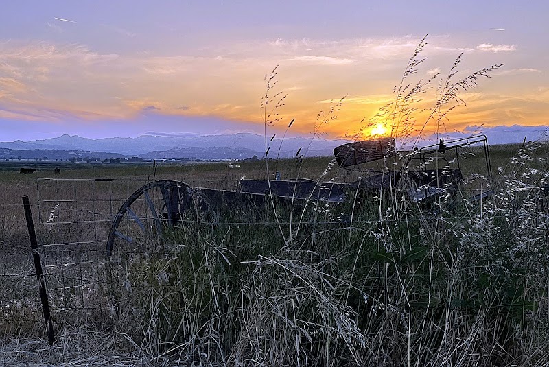 Rush Ranch Open Space - Suisun City, CA