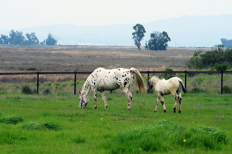 Rush Ranch Open Space - Suisun City, CA