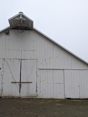 Rush Ranch Open Space