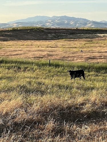 Rush Ranch Open Space