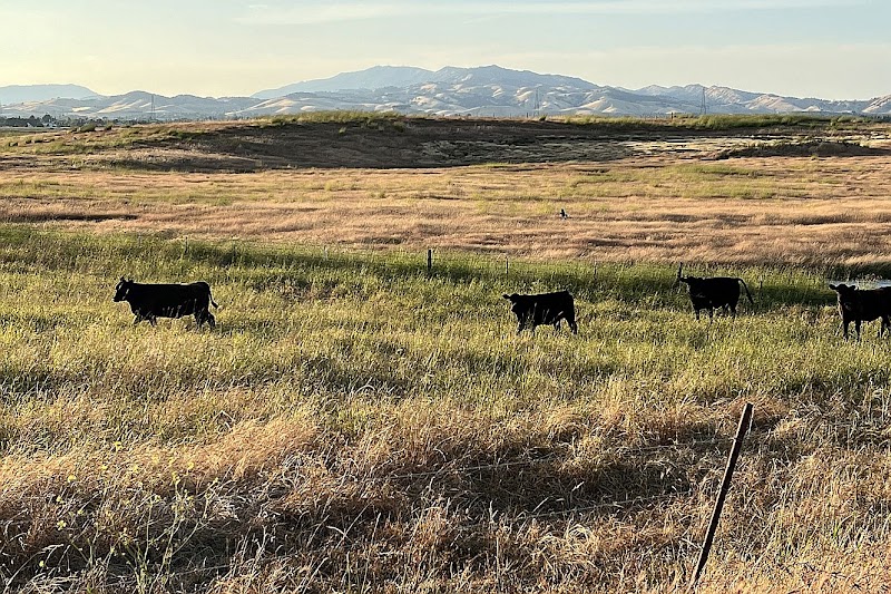 Rush Ranch Open Space - Suisun City, CA