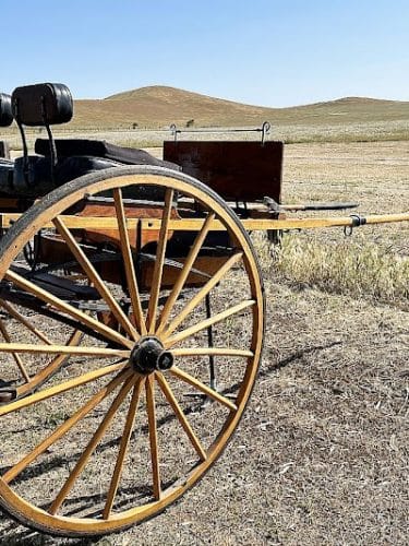 Rush Ranch Open Space