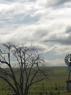 Rush Ranch Open Space