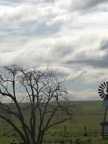 Rush Ranch Open Space