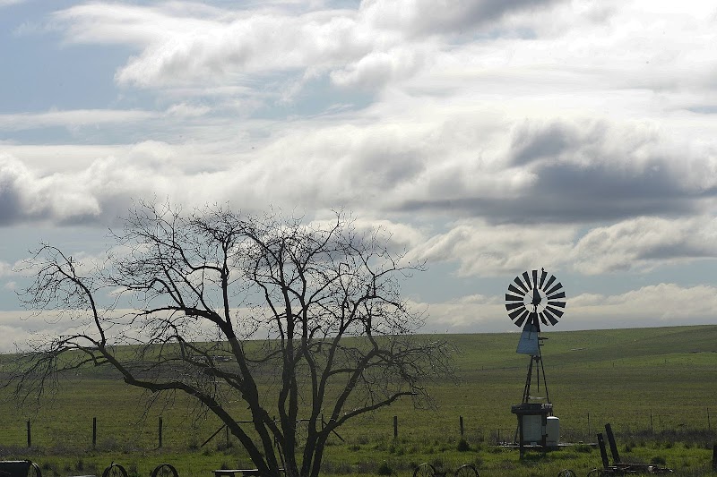 Rush Ranch Open Space - Suisun City, CA