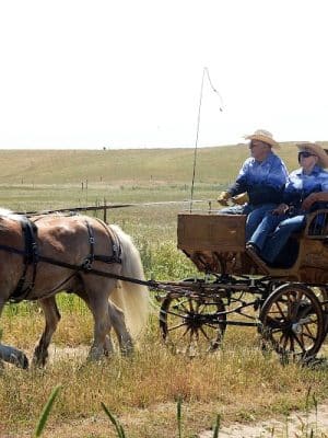 Rush Ranch Open Space