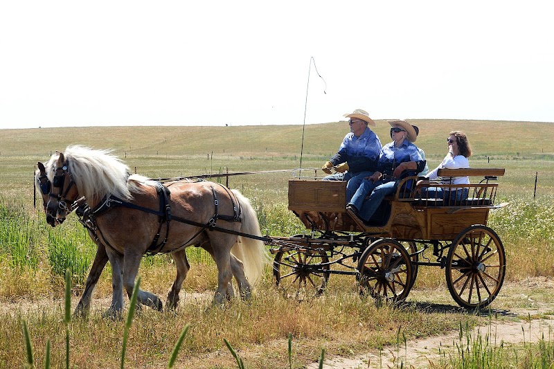 Rush Ranch Open Space - Suisun City, CA