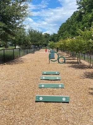Dog Park @ Carnes Crossroads