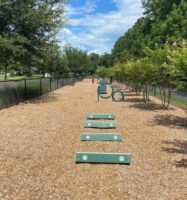 Dog Park @ Carnes Crossroads