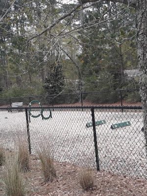 Dog Park @ Carnes Crossroads