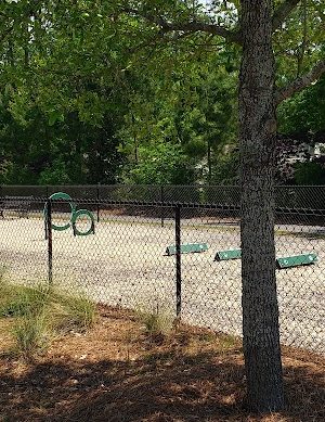 Dog Park @ Carnes Crossroads