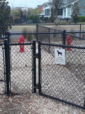 Dog Park @ Carnes Crossroads