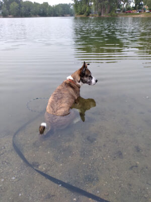 Paul Hubscher County Park