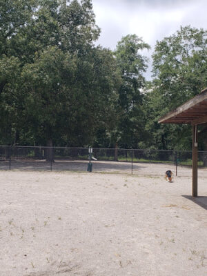 BarkPark