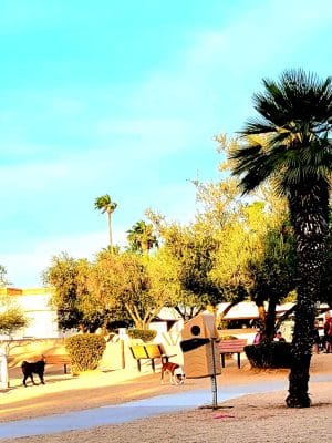 Duffeeland Dog Park *Key Required*