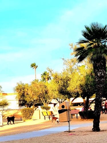Duffeeland Dog Park *Key Required*