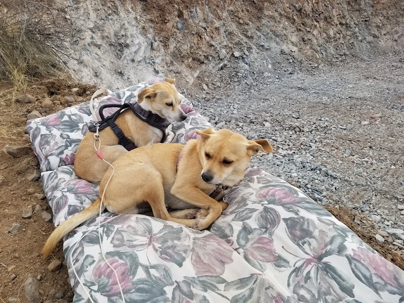 Duffeeland Dog Park *Key Required* - Sun City, AZ