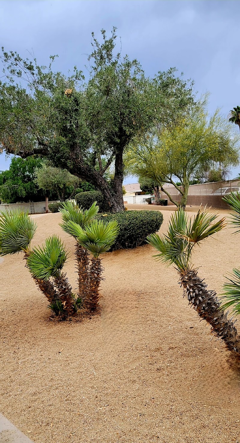 Duffeeland Dog Park *Key Required* - Sun City, AZ