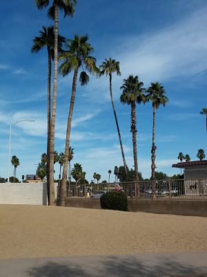 Duffeeland Dog Park *Key Required*