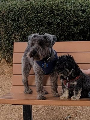 Duffeeland Dog Park *Key Required*
