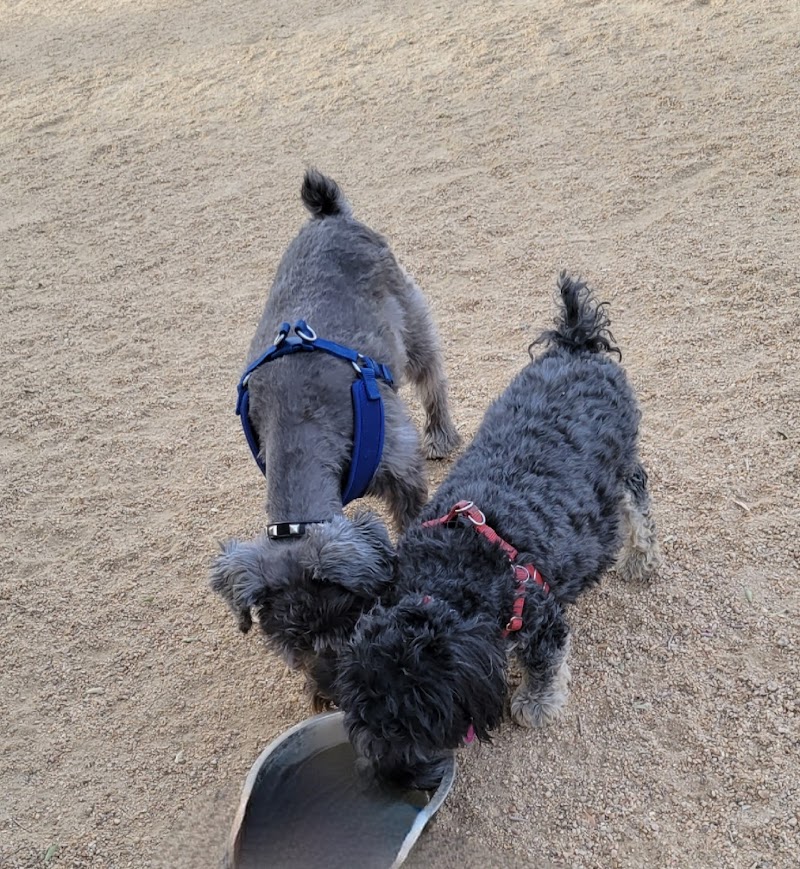 Duffeeland Dog Park *Key Required* - Sun City, AZ