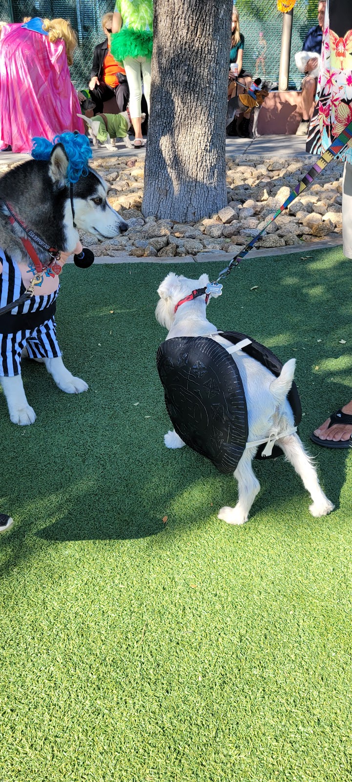 Large Dog Park-Members Only - Sun City West, AZ