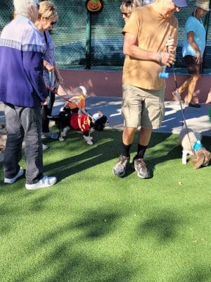 Large Dog Park-Members Only