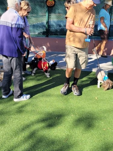 Large Dog Park-Members Only