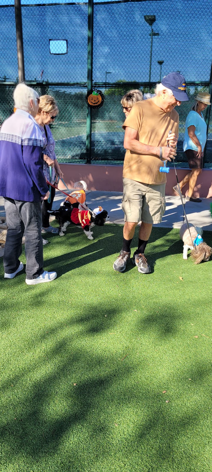 Large Dog Park-Members Only - Sun City West, AZ