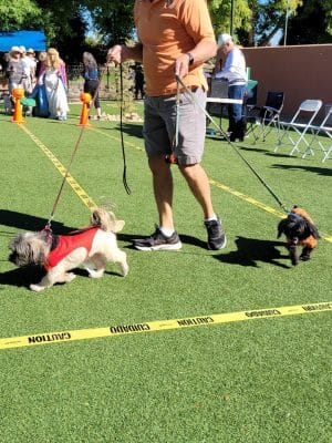 Large Dog Park-Members Only
