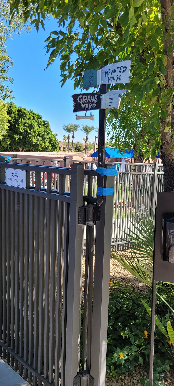 Large Dog Park-Members Only - Sun City West, AZ