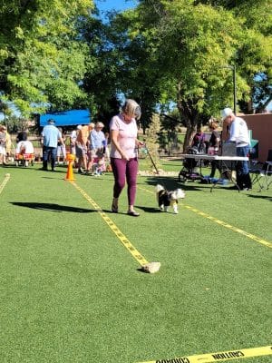 Large Dog Park-Members Only