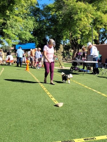 Large Dog Park-Members Only