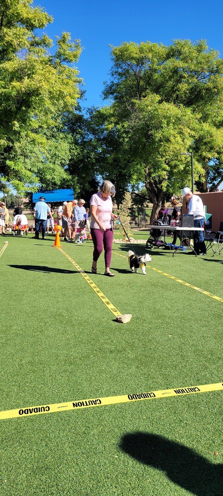 Large Dog Park-Members Only - Sun City West, AZ