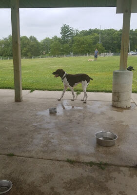 Sun Prairie Dog Park