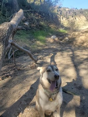 La Tuna Trailhead