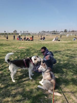 Sheldon Arleta Park