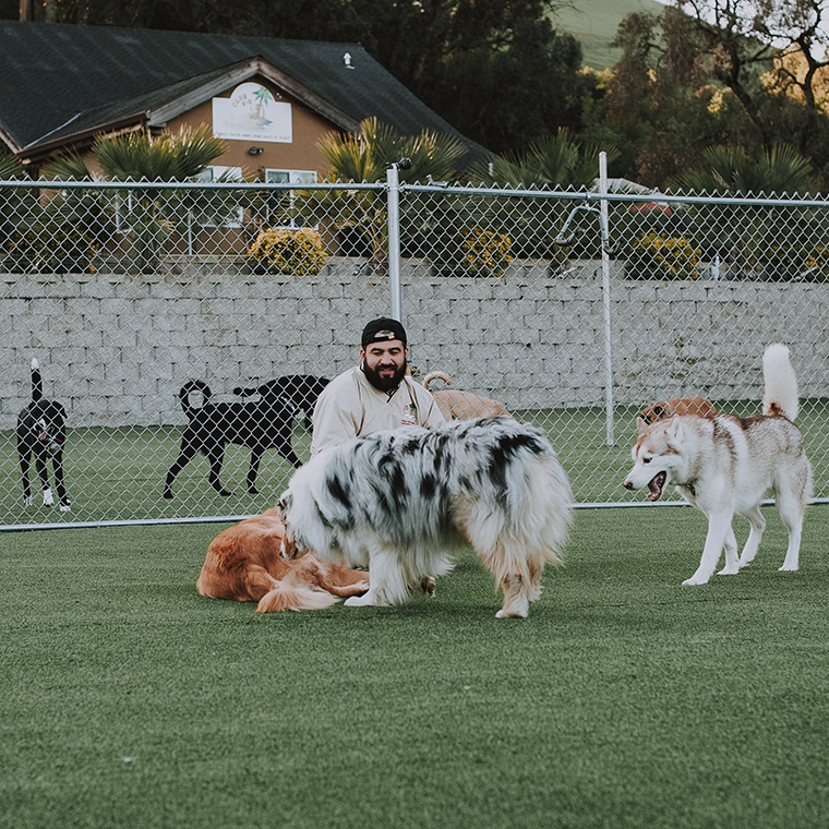 Club K9 Fremont-Sunol - Sunol, CA