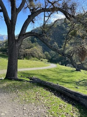 Canyon View Trailhead