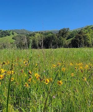 Canyon View Trailhead