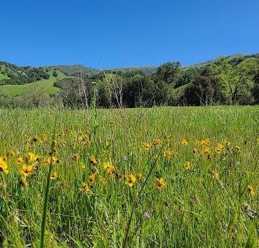 Canyon View Trailhead
