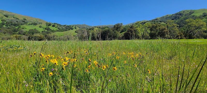Canyon View Trailhead - Sunol, CA