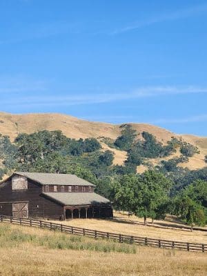 Flag Hill Trail