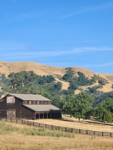 Flag Hill Trail