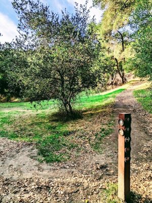 Flag Hill Trail