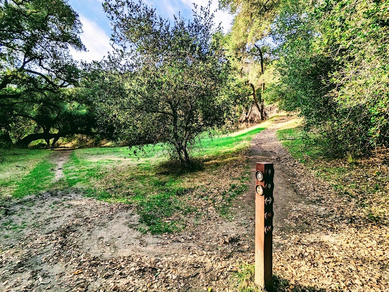 Flag Hill Trail - Sunol, CA