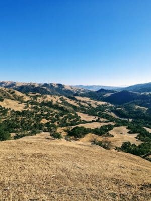 Flag Hill Trail
