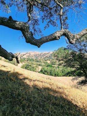 Flag Hill Trail
