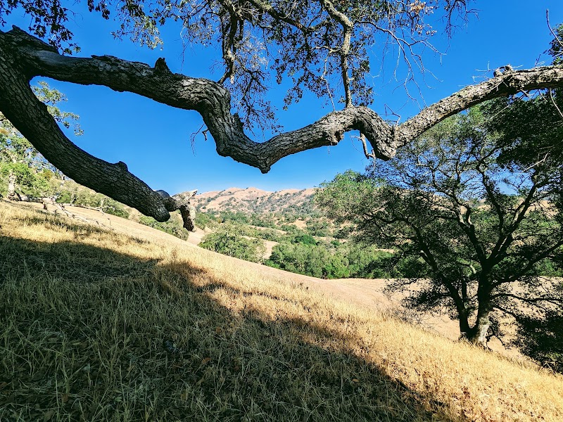 Flag Hill Trail - Sunol, CA