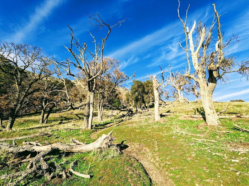 Flag Hill Trail - Sunol, CA